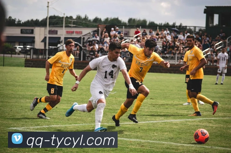 澳门太阳城APP 体育赛事宣传图